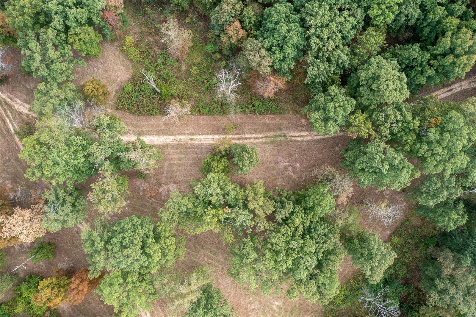 Whitetail Crossing - Farm