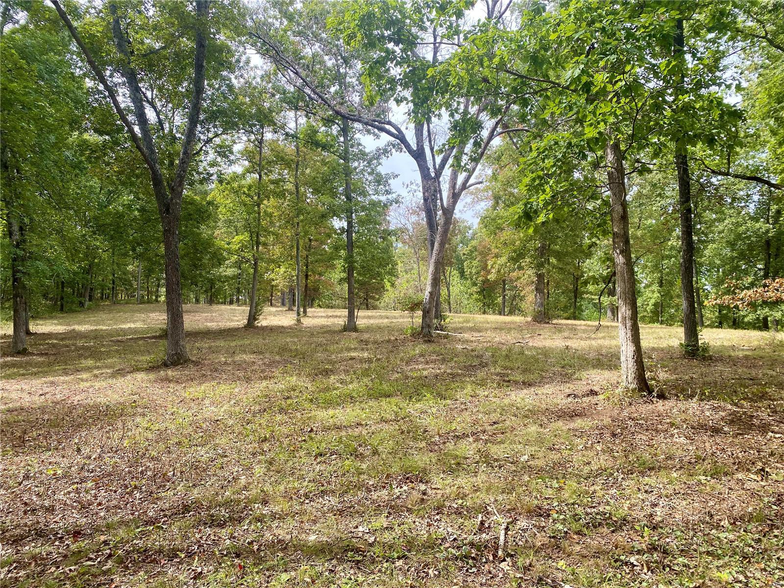 Whitetail Crossing - Farm