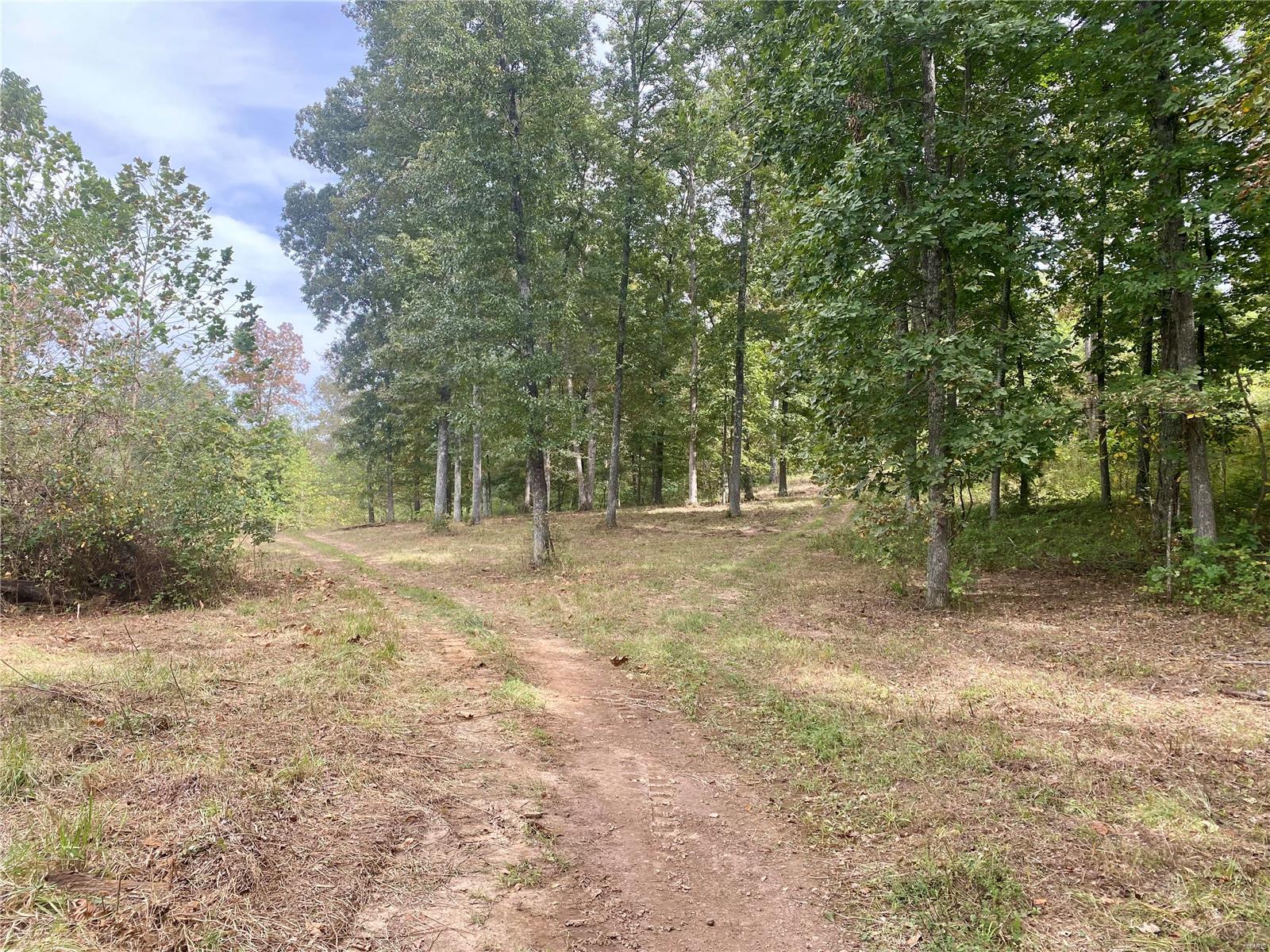 Whitetail Crossing - Farm