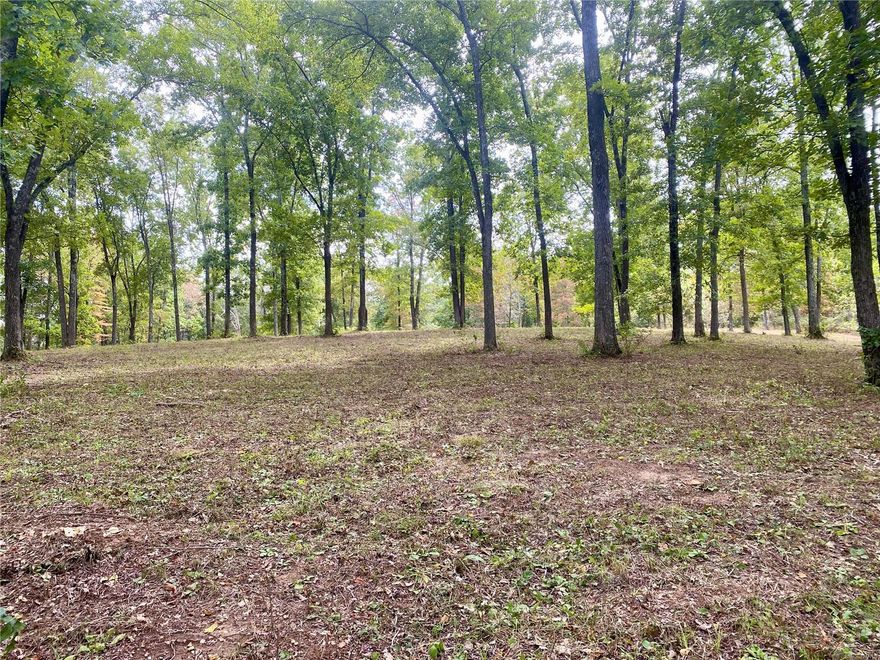 36.76 park-like acres at Whitetail Crossing! Tucked at south end of this sought after development, you'll find a wooded segway leading to a long ridge of towering hardwoods overlooking the valley below. Many trails throughout the property makes it very accessible and easy to view the multiple spots to build in an area rich with wildlife. The perfect setting for creating a private estate or potential to divide into multiple homesites - this property has tons to offer. Direct access to the blacktop, electric on-site and located just minutes off Hwy 67, just north of Fredericktown. This is a must-see!