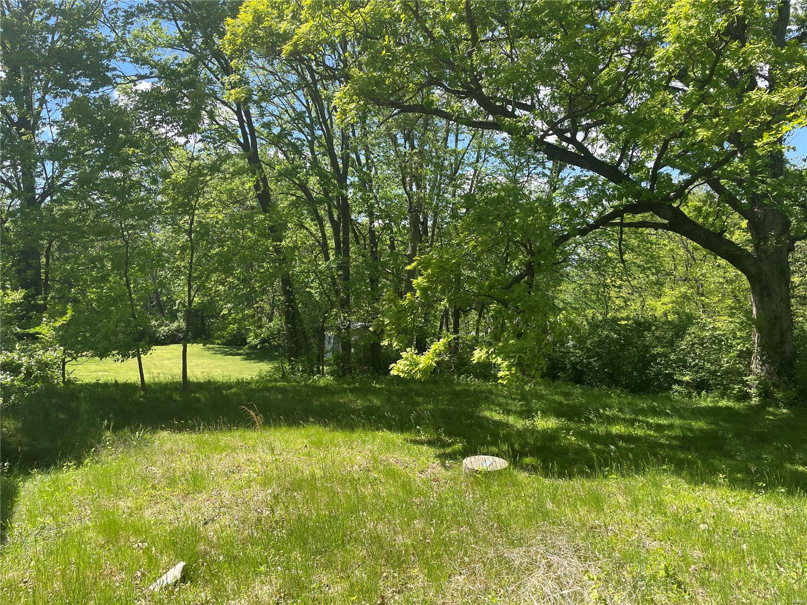 View Kirkwood, MO 63122 house