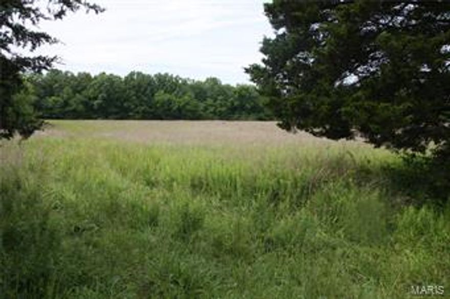 Beautiful country setting, about 8 acres in pasture and the rest wooded.  The back border of the property is the creek.  There are two old houses on the property that could possibly be fixed up with a lot of work.  There are several outbuildings. Property and dwellings to be sold 'as is'.