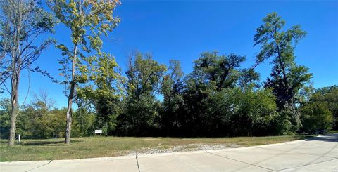 2017 Lily Avenue Kirkwood MO 63122
