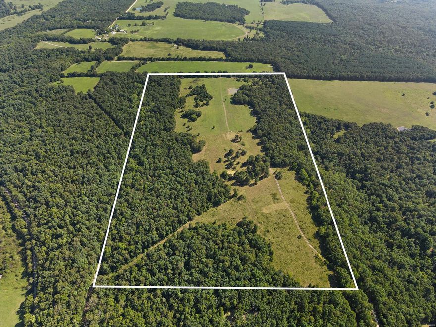 Discover your dream property nestled in the rural beauty of Falcon, Missouri. This sprawling 80 acres offers a perfect blend of woods and 2 fully fenced pastures. There are 2 stocked ponds on the property, with the larger one being about 12' deep and fully stocked with bass, catfish and bluegill. Electricity is already on site, so whether you envision building a cozy cabin, hunting retreat, or a sprawling country home, the groundwork has been laid for your vision to come to life. If you're a hunting enthusiast, this secluded property is bordered on 2 sides by Mark Twain National Forest land, so the wildlife is abundant, plus, it's only a couple of minutes away from the Gasconade River where you can enjoy floating, fishing and the scenic beauty of the Ozarks. So whether you're looking to homestead, run a few head of cattle, or are just wanting a great place to hunt deer and turkey - this incredible property fits the bill!