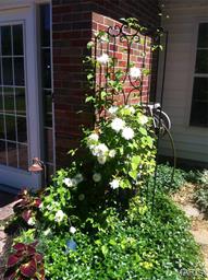 Meramec Meadows 02 - Residential