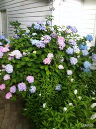 Meramec Meadows 02 - Residential