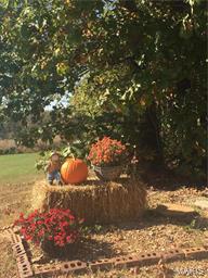 Modesto Manor - Residential