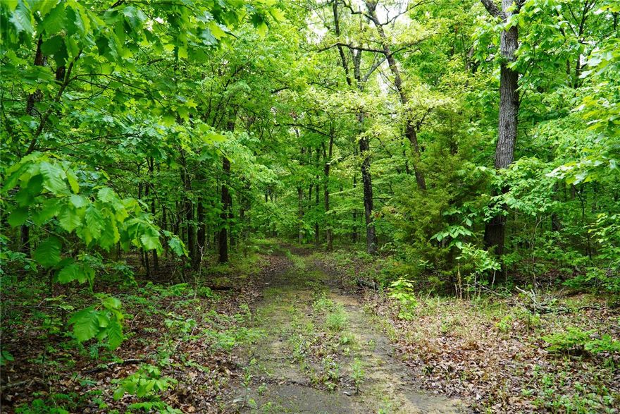River front property. This property has your own personal access to the Osage River. There are many tree stands and blinds for hunting already present. I have seen deer and turkey and lots of tracks everywhere. This is a hunting paradise. I personally took a 10 inch bearded turkey there this year. Not only fantastic hunting but this property has a huge amount of logs that have not been touched in generations. There is enough logs on this place to almost pay for the property. There is a old home place on the property  so there is electric to it but I could not find a well. There is a small meadow/food plot in the bottom by the river that could be turned into a great camping place or cabin location. Fish at your convenience. There are many building sites on this and privacy like this is impossible to find. This is a heritage you could leave for many generations. Property includes 4 parcels: 088034000000007.000, 088034000000004.000, 088033000000009.000 and 112104000000002.000