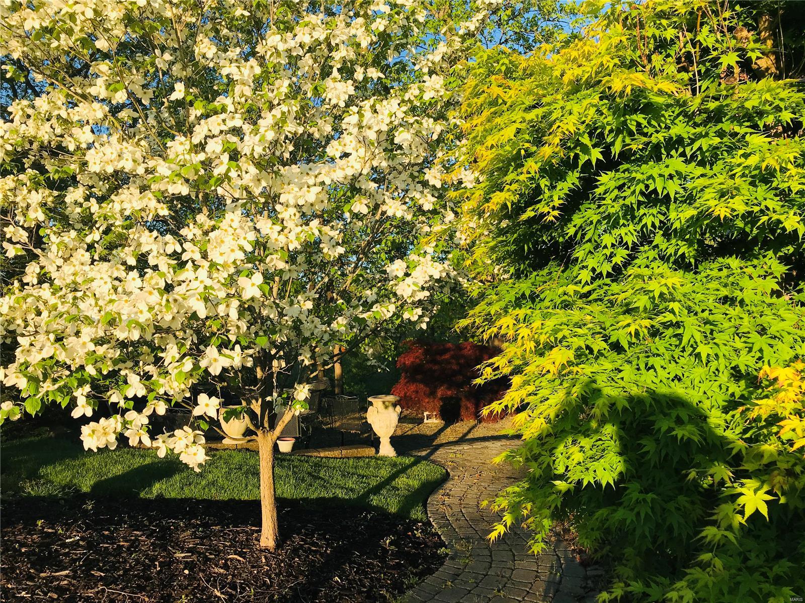 Cedars Valley - Residential