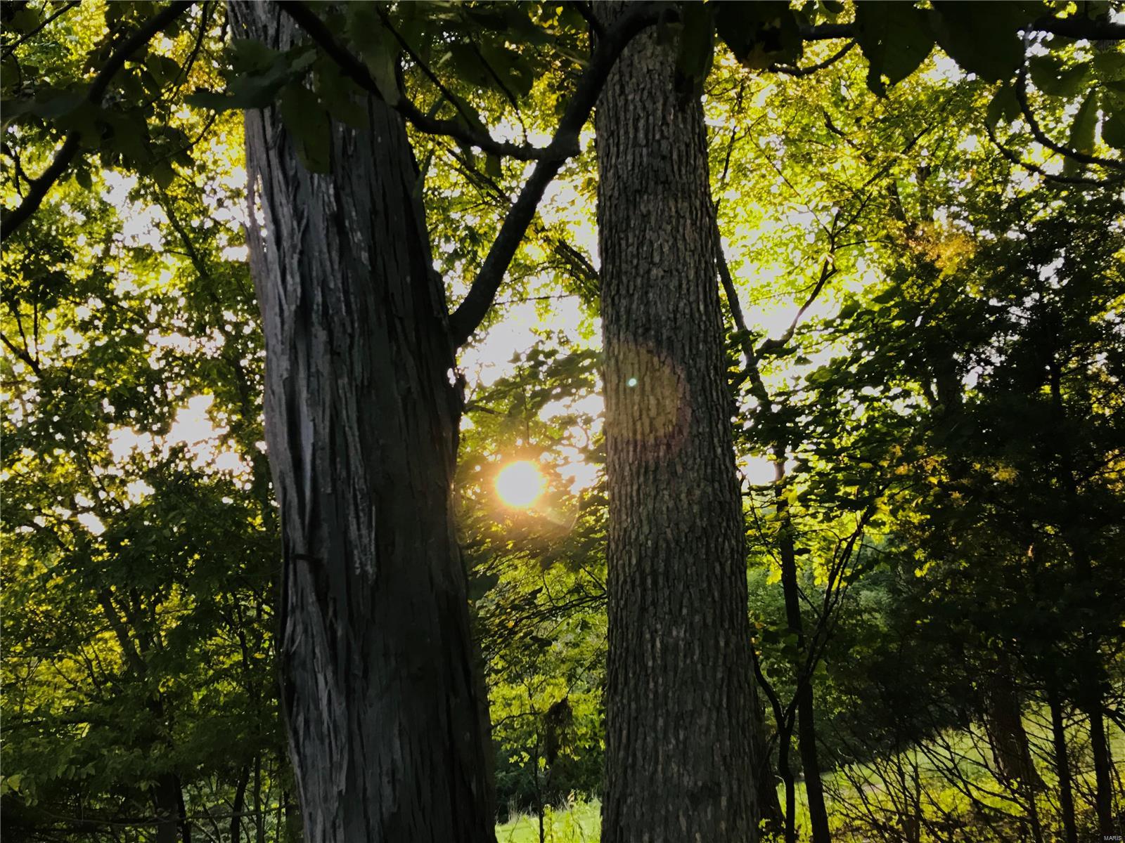 Cedars Valley - Residential