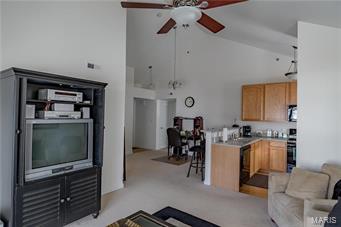 Brandy Mill Condos - Residential