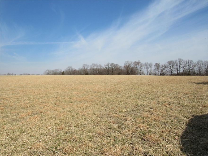 There are so many possibilities on this 134.66 acre farm.  It can be used for farm ground, recreational ground or a place to build your dream home.  It would also make a great place to put in a subdivision with all the beautiful building spots.  This number of acres, only minutes from city limits, is nowhere to be found.  A few acres of the property is in city limits with the remainder lying in the county.  Property lies off of Outer Road South with lots of road frontage. Quick access to Interstate 55. Property provides many entrances which makes accessing it convenient.  Some areas have city sewer, water and natural gas. Electric is nearby.