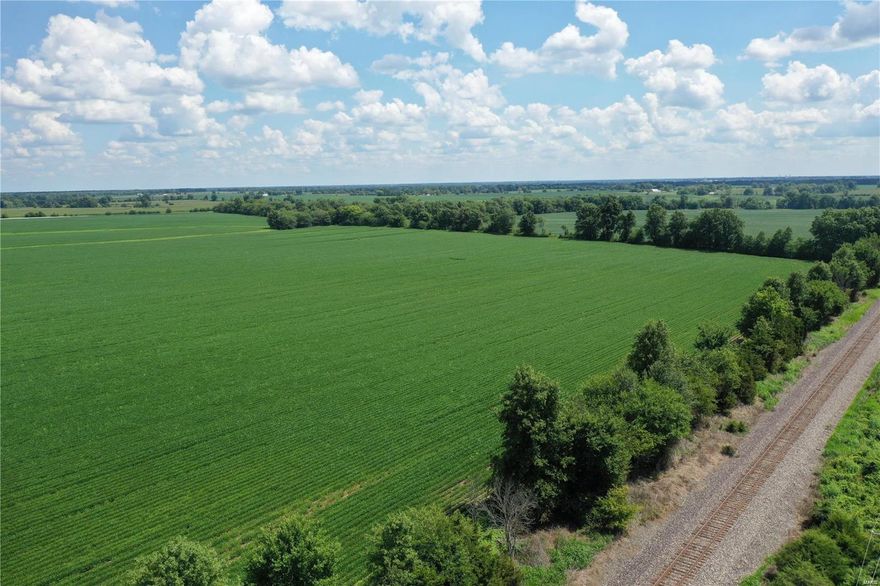 Approx 151 acres available for sale! Perfect location, prime farm ground. 151 acres of mostly tillable ground. Priced at $12,500 an acre. Farmland is currently leased until Nov 2022.