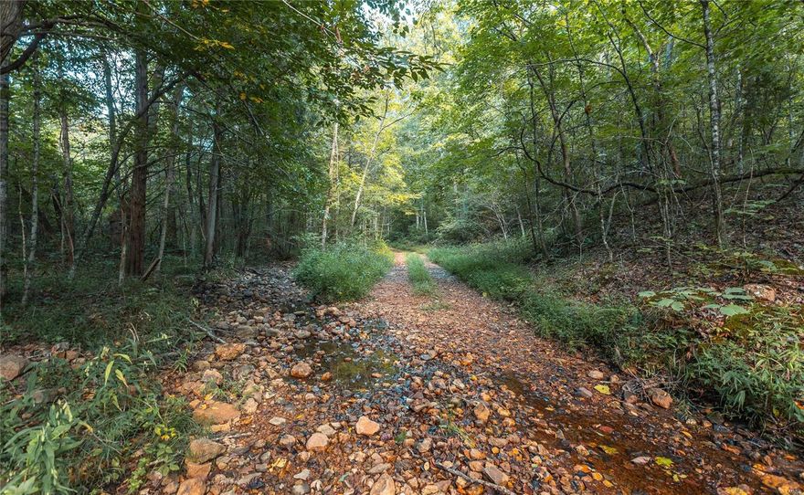 LAND!!!!! 80 acres +/- at the Madison/Wayne County line off Cr 451 in Madison County. Excellent hunting opportunities for deer and turkey. Several spots for building small hunting cabin on property. Spring feed creek, good timber stand also.