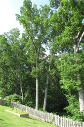 Eagle Rdg Estates 02 - Residential