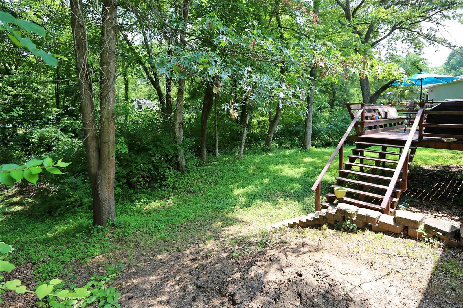 Wild Hawk - Residential