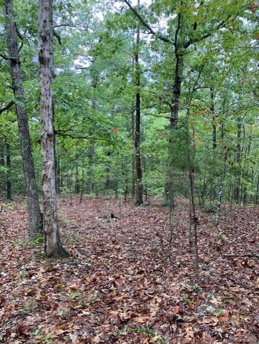 Wooded rural acreage with access to a shared spring-fed stream and within a mile of Mark Twain National Forest ... it doesn't get much better. It's a landowner's dream come true. 
This affordable Ozark oasis comes with NO restrictions. And there's a nice wide deeded easement gravel road leading from the county road to your property.
Hunt, camp, build, ride ATVs on your own land, or fish or play in the shared creek section. The opportunities are endless.
This property is wooded and rolling. You are within a mile of the 22,176-acre Mark Twain National Forest ... public ground where you can also hunt, ride and explore. All this, and only about 2 miles by road from U.S. 67 for quick and easy access.
Use this great 9.392 acres as a base camp for adventure. This and surrounding land is teeming with deer, turkey and small game, and the occasional feral hog or maybe a black bear. 
Ownership comes with access to a 3-acre shared stretch of the magnificent 12 Mile Creek and gravel bar.