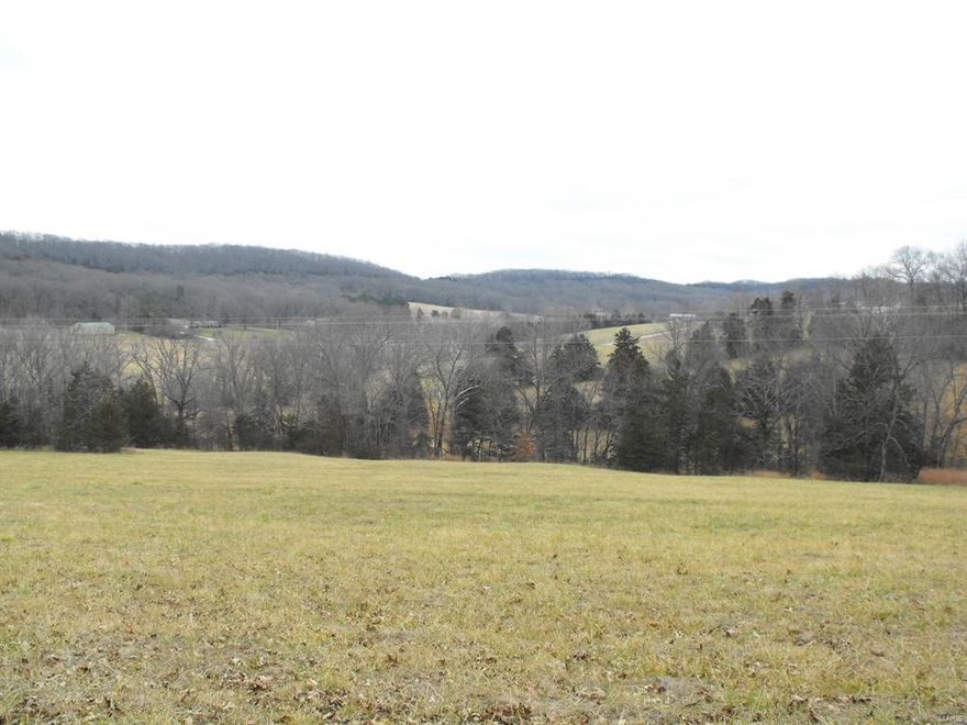 Rare opportunity to own 80 +/- acres within minutes of Hermann. This property lies on both sides of Hwy 100 W with numerous building sites on each side, and scenic views as well. Approximately 39 acres lies on the SE side of Hwy 100 with 14.2 acres open. Approximately 41 acres on the NW side of Hwy 100 with over 5 acres open and beautiful building sites. This one won't last long, so call today! * Note, sold 90.71 acres at closing.