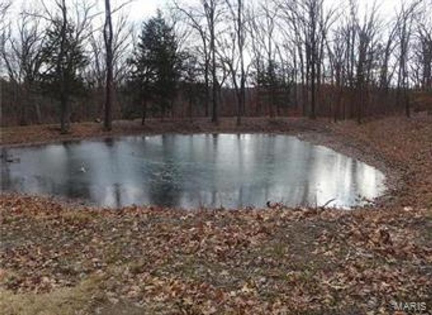 Looking for the exceptional building site?   Perfect location for a peaceful country retreat, minutes from Hannibal.  This wooded lot has electric and working water on site.  A newly rebuilt pond about 15-20 foot deep makes this lot ideal.  Great opportunity for a new home.  No trailers, manufactured or modular homes. Additional Rooms: In Platted Subdv.