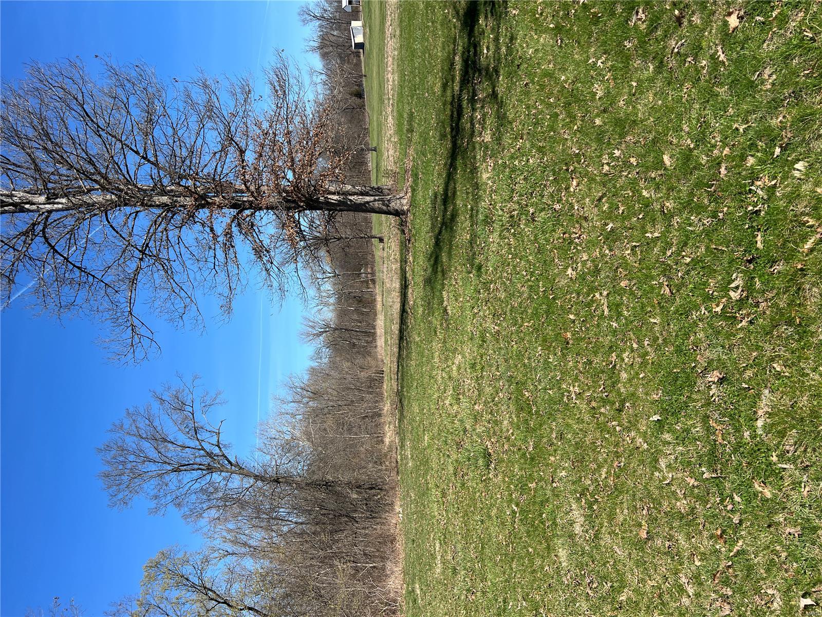 none - Farm