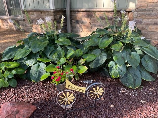 Timbers - Residential