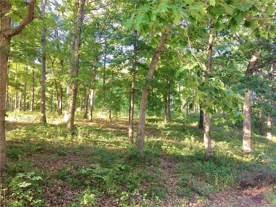 5.0 of unrestricted acres to build your dream home.  This is a beautiful country location with woods & wildlife!  There is an additional 5.7 acres across the road  for sale as well!
