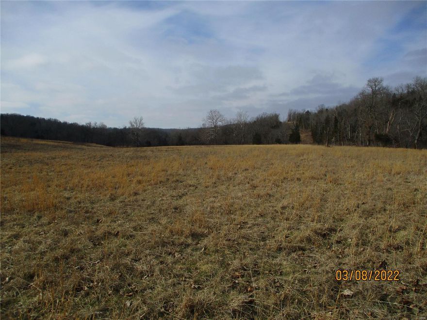 Approximately 38 acres containing roughly 16 acres of pasture and 22 acres of woods (nothing really marketable at the moment).  One pond.  Some new perimeter fencing.  Perfect spot to build overlooking the bottom.  Lots of deer and turkey.  With a little fence work you can have horses or cows.  Creek runs along the west boundary.  Entrance right off the county road.  Use this property for livestock, recreation, hunting or build a home as there are no restrictions.  There is an old well on the property that was filled in.  Hard to come by property just waiting for a new owner!! (This property is portions being sold off two separate parcels.  Taxes will have to be determined by county assessor.  Acreage is approximate.)