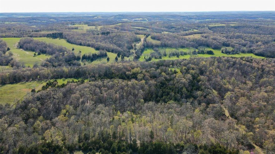 Take advantage of this opportunity while you can. Consisting of a healthy timber stand, bedding thickets, well established warm season grass fields with some clover, and a creek. These small secluded fields can be made into destination food plots with ease. The timber is diverse with many white oaks, black oaks, hickory and more. There are deer trails winding throughout the property and sign is everywhere you look. Multiple established mineral sights are being utilizing by deer right now. The property sets up tremendously for hunting with great access. You simply cannot beat the potential this ground has for its size. The tract is completely perimeter fenced and has great options for a hunting cabin or home location if desired. The seller has maintained an extensive trail system making access easy, allowing you to get in and out, quietly to every area of the property. If you are in the market to find an affordable turn key hunting or recreational tract that has it all, this is it!