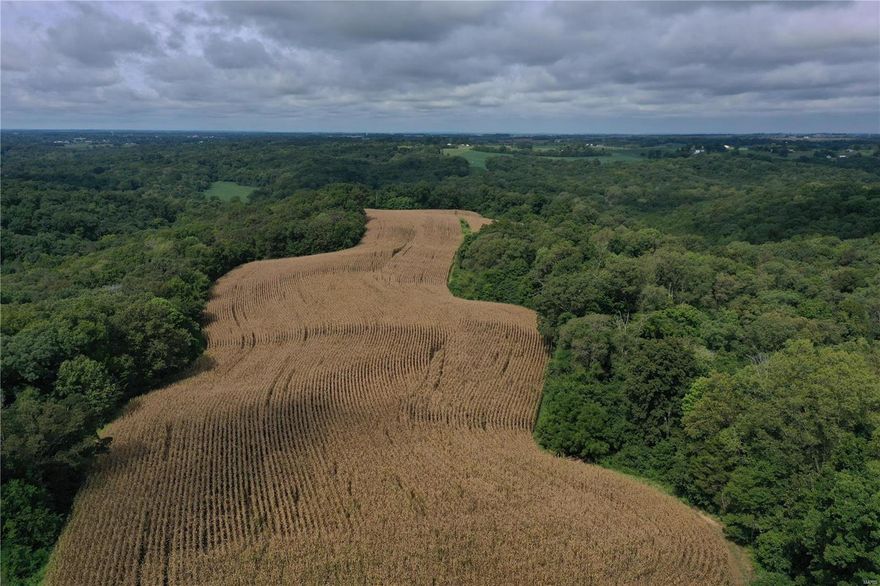 New listing! Located just out of Perryville Missouri, off Hilly Vista Lane, sits Tract 1 including 96.33 acres m/l. The property has lots of diversity including 15.8 acres m/l of tillable land, the Cinque Homes Creek running through the west side of the property, and hardwood timber providing everything needed to make this place a wildlife haven with some income! Electric is near by and the land would provide an excellent place for a cabin or dream home if desired within 3 miles of Perryville. A new very nice road has been built as an easement road to the property and the farm has recently been surveyed. If you're looking for a very diverse farm in an excellent location then this is one worth checking out!