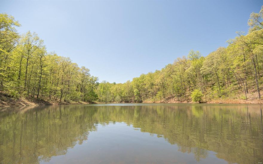 A HUNTER’S PARADISE!

This 871 +\- acre property is perfect for everyone - especially if you love the great outdoors or love to hunt or fish! With over 700 acres of timber, you’re sure to have a successful season! A hunters lodge can be found on the property with plenty of room for all your toys. Maintained for over 40 years, this land is home to several watering holes, ponds, and food plots. Trails are easily accessible throughout. This jaw dropping property is fortunate to have Stanley Creek flowing through, inviting all sorts of wildlife to its premises. Landmarks close by include Wappapello Lake, Mingo National Wildlife Refuge and several hundred acres of government ground.  The opportunities are endless, as this land is full of potential for a multitude of reasons. Set up a time to see your dream land today, you won’t regret the views!