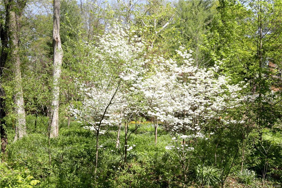 Glen Creek - Residential