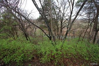 Bluffs Of Wildhorse - Residential