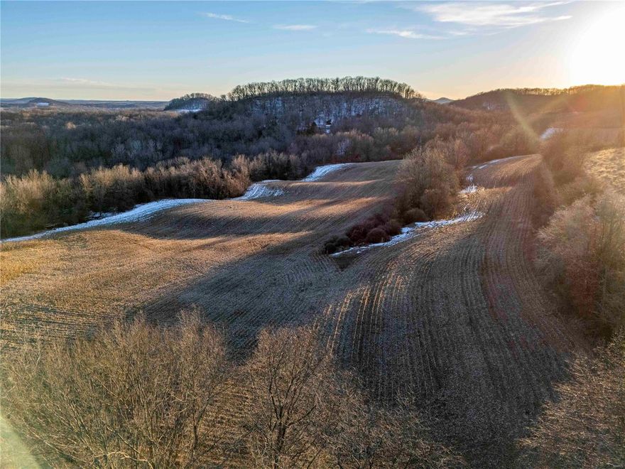 Discover a rare opportunity in Pike County, Missouri! This 331.3-acre property boasts stunning views and exceptional hunting potential, supported by a rich history of big bucks and a thriving wild turkey population. Approximately 75 acres are devoted to crops, ensuring both recreation and productivity. Established food plots are strategically placed to attract game, and an extensive trail system makes it ready for the hunting season. The property includes 3 Banks Hunting Blinds, offering immediate hunting access. With good road frontage on two sides, this prime hunting property is in a desirable area. Located just 1 hour from Wentzville, this recreational paradise offers both conservation easement areas and unrestricted, developable land. Don’t miss this unique chance to own a piece of Missouri’s natural beauty and a perfect hunting retreat!