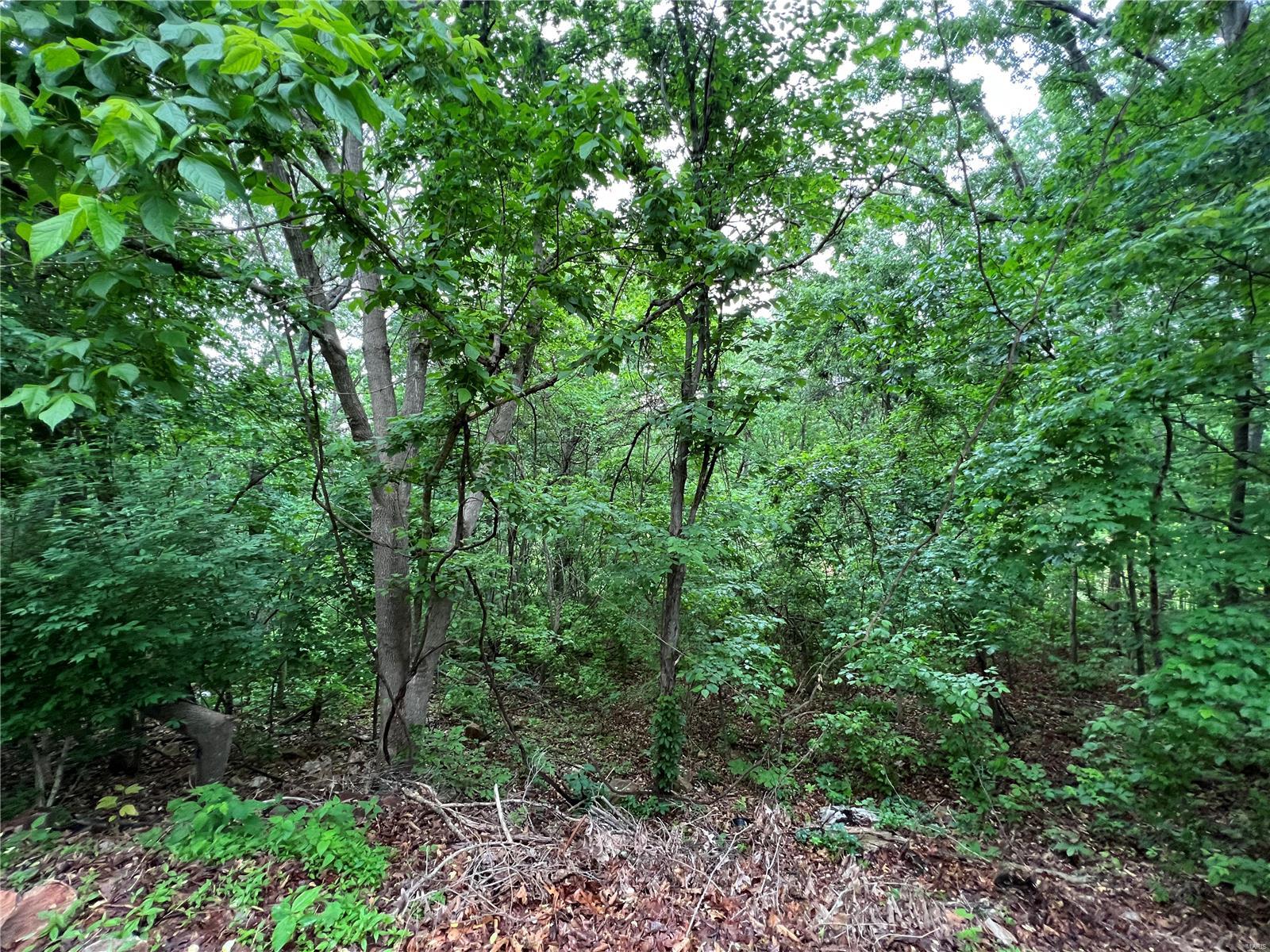 The Timbers - Residential