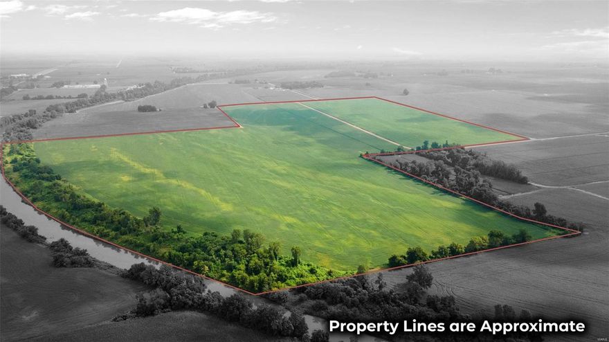 Located SE of Braggadocio, two separate tracts with CR 427 in between them. They will be sold separate or together. Both tracts are not graded, but both have a well. The west side of CR 427 is -/+135 tillable acres and the east side is -/+100 tillable acres. There is a deadline of 8/14/24 for offers so please contact listing agent for information on this farm.