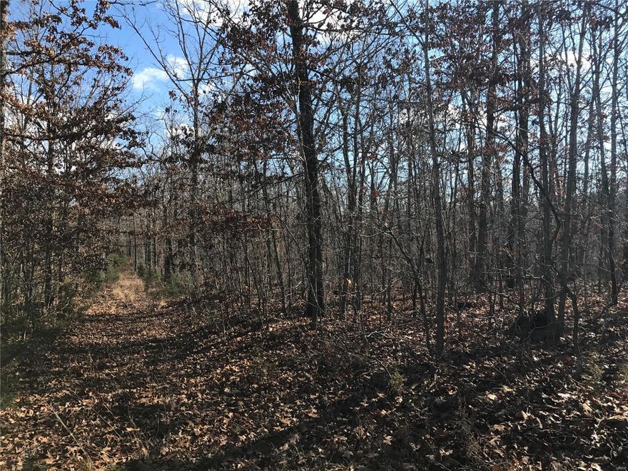 80 acres of woods, great for hunting!