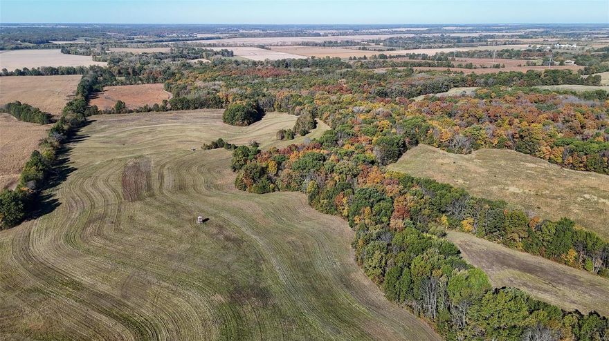 Discover this stunning 187+/- acre farm, featuring gently rolling terrain perfect for a variety of endeavors. This property offers an impressive income stream, generating $26,112 annually through the Conservation Reserve Program (CRP). 

Located approx 26 miles from Palmyra and 13 miles from Philadelphia, MO, this prime piece of land combines accessibility with tranquility. Approximately 25 acres of lush woodlands provide excellent hunting opportunities, making it an ideal retreat for outdoor enthusiasts. Water and electric at the road. Don’t miss out on this unique blend of income potential and natural beauty!