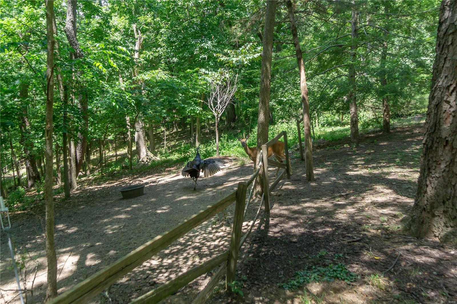 Upper Kehrs Mill Lt 1 - Residential