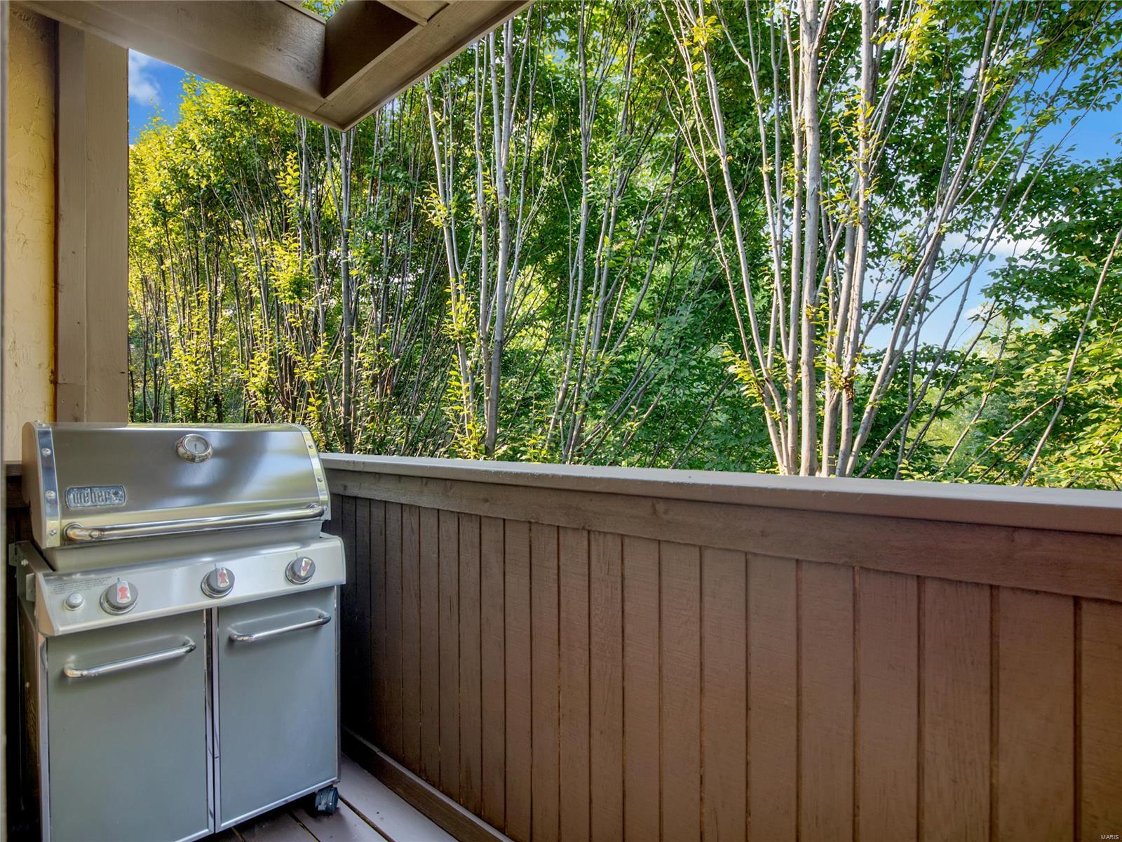 Central On The Park Condo - Residential