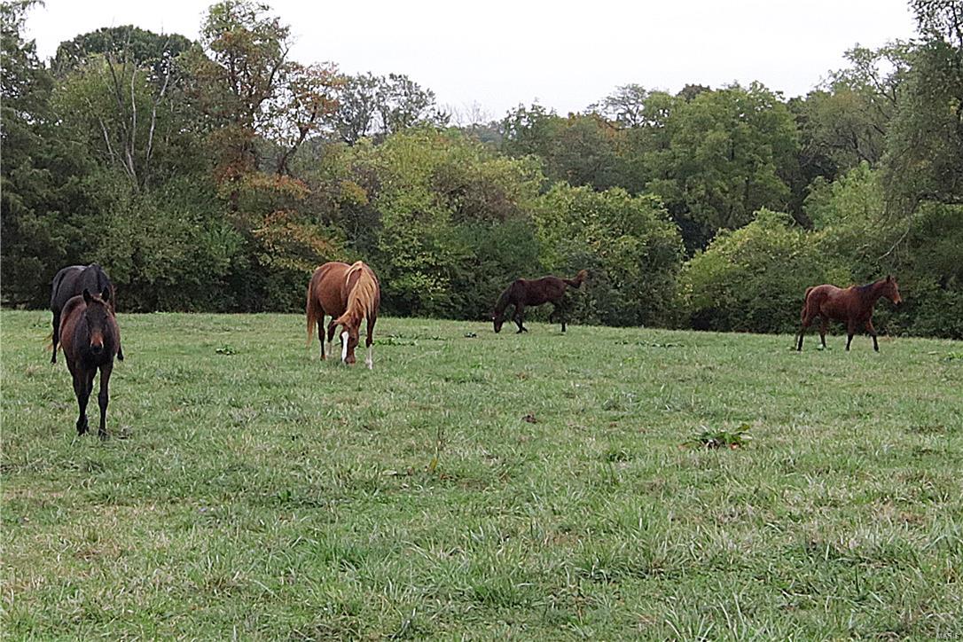 Section 25 Township 45 R 5 - Residential