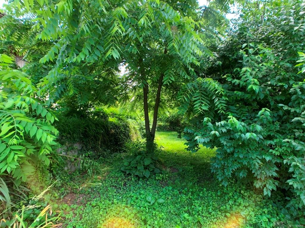 Wilson Estate - Residential