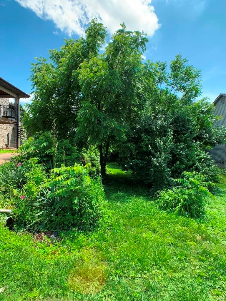 Wilson Estate - Residential