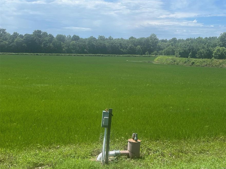 Great Opportunity!! Black River waterfowl Las Fagus hunting lodge. Adjoining Coon Island Conservation. Just to the South lies Arkansas Game and Fish WMA's Dave Donaldson Black River, Ring Slough WMA & Sunken Land WMA. This property joins over 4000Acres of Missouri Department of Conservation. Just 1 mile North of the Arkansas State line. There is 27 Acres M/L precision graded & irrigated Farmland. These levees are engineered allowing the fields to be pumped up for duck and geese right next to the river. This is a turn-key ready-to-go hunting opportunity. Approximately 1 mile of river frontage, flooded timber, and sloughs. Trophy size whitetail deer, turkey and lots of small game. The lodge/home is approximately 2,394 sqft 4 bedroom 2 1/2 bath there is enough beds to sleep over 20 people. most all of the furnishing goes with the property including a gun safe. There is also a 50x60 shop with a concrete floor and an equipment shed 40x80. There is much more to talk about!