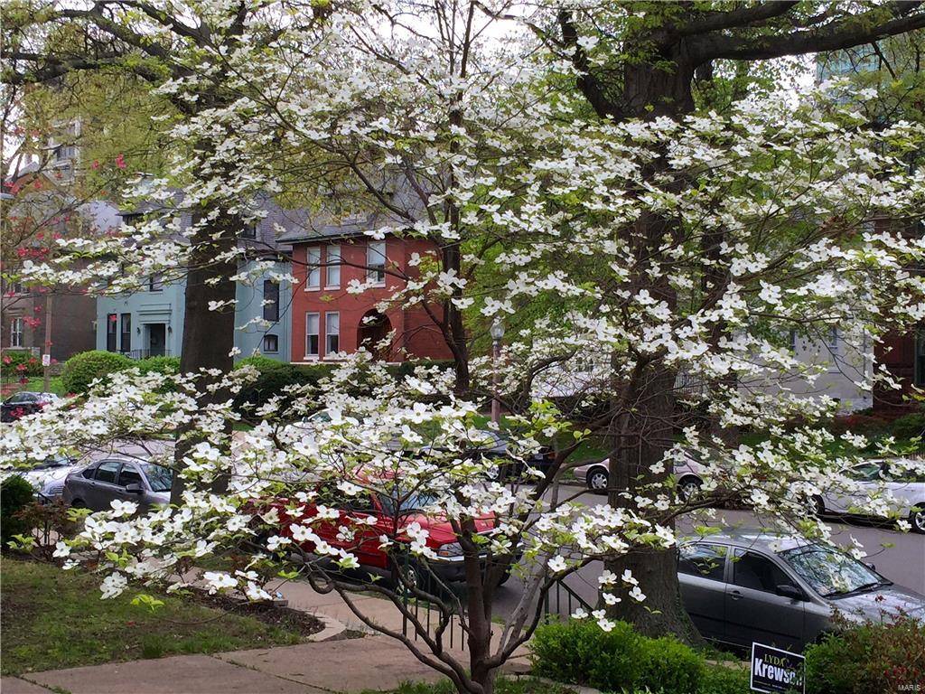 City/St Louis - Residential
