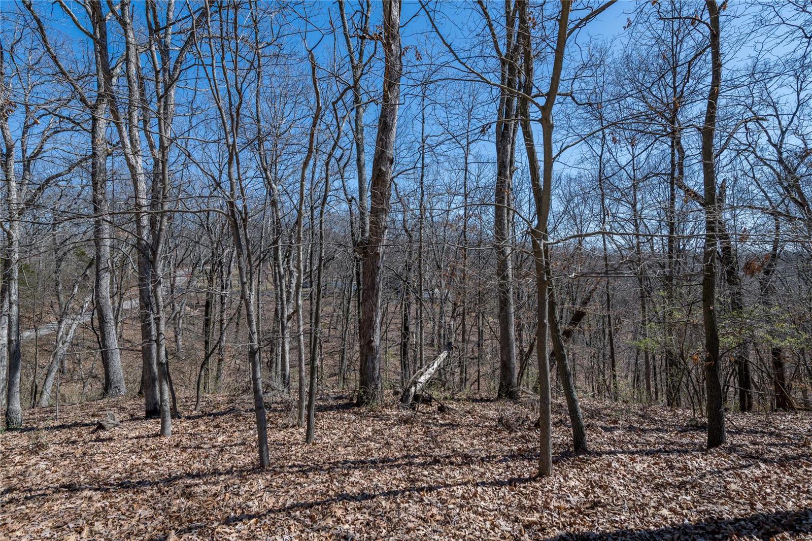 La Salle Woods Resub Lt 2 - Land