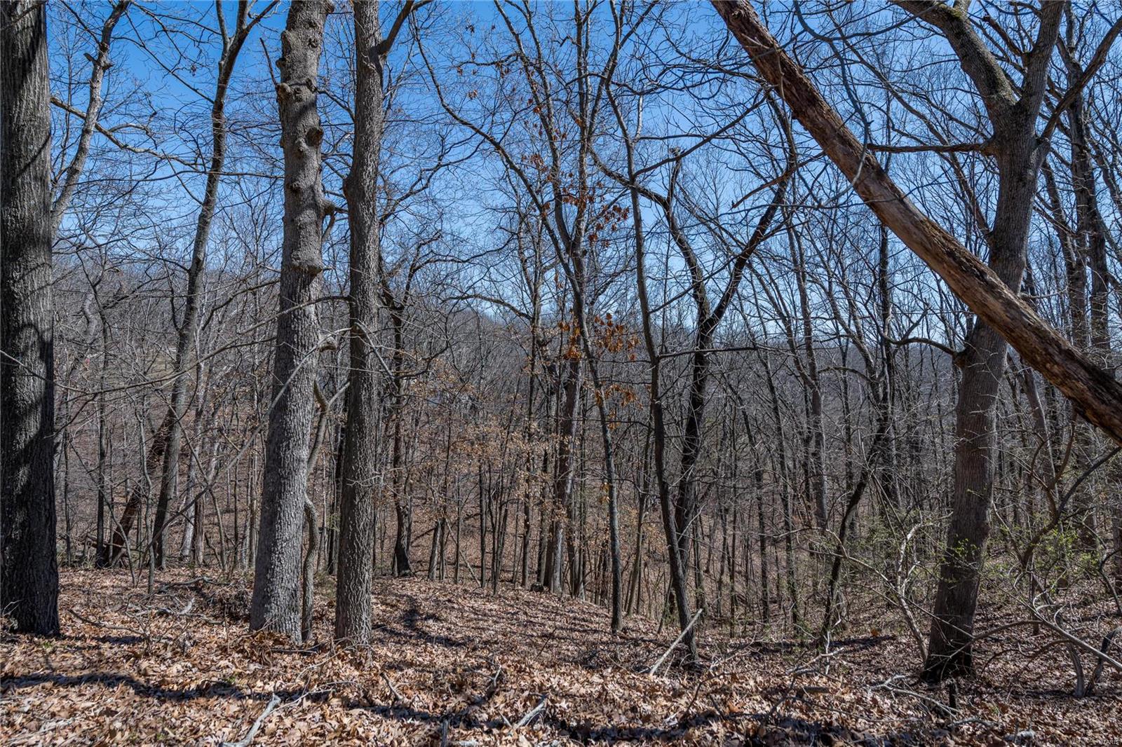 La Salle Woods Resub Lt 2 - Land