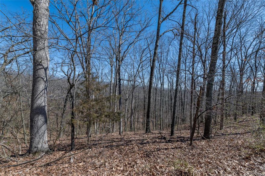 Three acre building lot located near 44, 109 and Manchester Road. La Salle Woods is a private subdivision with mature trees and lovely views of nature.  Buy now and build at your convenience just minutes from Hidden Valley, Wildwood Towne Center, Rockwood Reservation and more. The three acres is located in the Award-Winning Rockwood School District. Bring your dream building plans and enjoy the breathtaking views and vistas. Additional Rooms: In Platted Subdv.