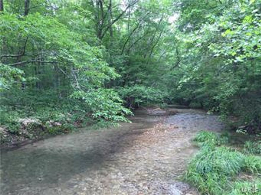 Beautiful 9.5 acres in Peola Acres. Great buildable acreage with Peola Branch running through the property, and also deeded access to Black River that comes with it. This would make great recreation ground to camp, swim, hike, or build that cabin you have always wanted.