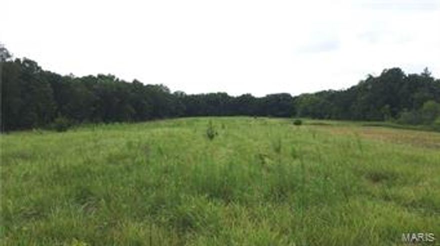 Nice Hunting Piece with Spring Fed Creek, Pond and Morton Building with Living Quarters.  Nice Mix of Woods and Open Pasture.  Public Water.  Easy Commute from St. Louis.