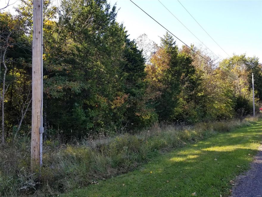 BUILDER STARTER PACKAGE - BUILD NOW OR BUILD LATER.  This land was once two lots, combined into one, with only ONE Assessment... which is why it's much larger than the lots surrounding it.  The purchase of this lot comes with Detailed, Architect Stamped Blueprints (2349 sq ft ranch with 2 car garage).  You are not required to build this home, you are not required to build AT ALL.  If you want to build, this lot is flat, with half of the backyard bordered by common ground.  Sewer, water and electric are ran to the Road Front.  Take advantage of this builder starter package with so much in place already, for only the price of the lot!  As an owner in Lake Sherwood, you have access all amenities: Lakes, Parks, Campground, new Clubhouse, Beach and much more!  More info can be found at www.lakesherwoodestates.net/documents Additional Rooms: In Platted Subdv.